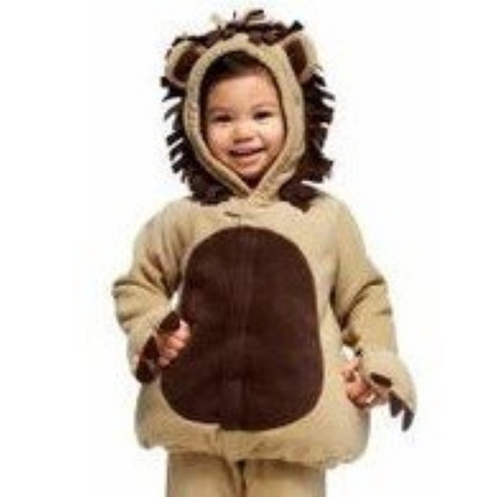 Lion Costume